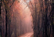 哈迪：助教们最终说服乌度卡用双塔 这斗争从我在绿军时就开始了.