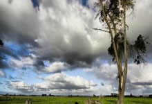 1XBET官网：[天下足球]20250310 阿尔瓦雷斯：马竞新宠.