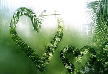 印尼媒体关注塞尔吉尼奥：中国队招募了内马尔的后辈增强实力.